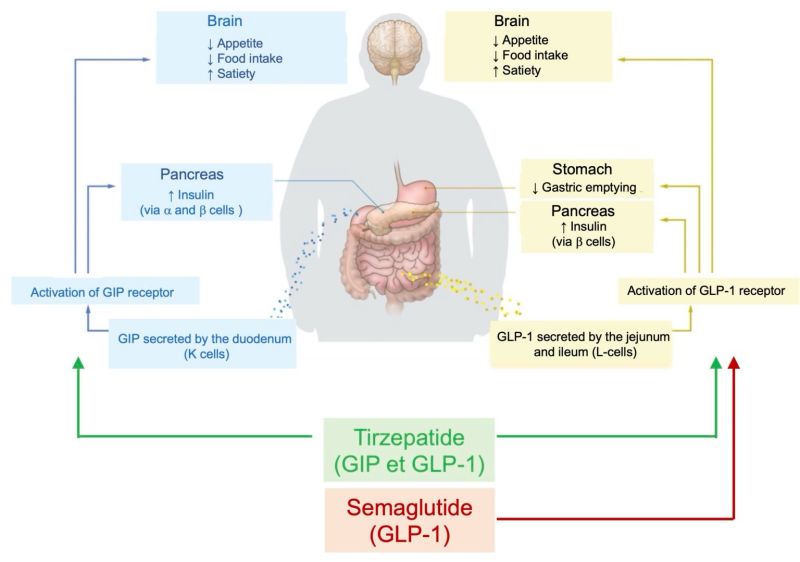 tirzepatide for weight loss canada Tirzepatide: Canada's Best Peptide? 2026 Guide Get Tirzepatide Online: Zepbound &