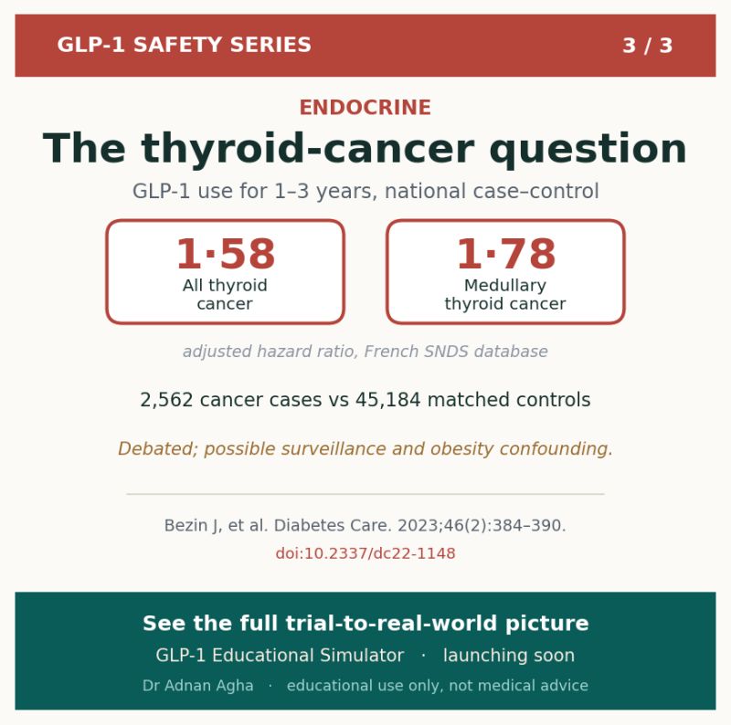 thyroid and glp 1 Implications of GLP-1 Receptor Agonist on Function: A Literature Review of Its Effects on Thyroid Volume, Risk of Cancer, Functionality TSH Levels Increased GLP-1 Thyroid Cancer Risks