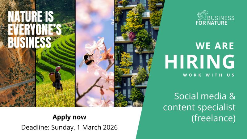 No alternative text description for this image