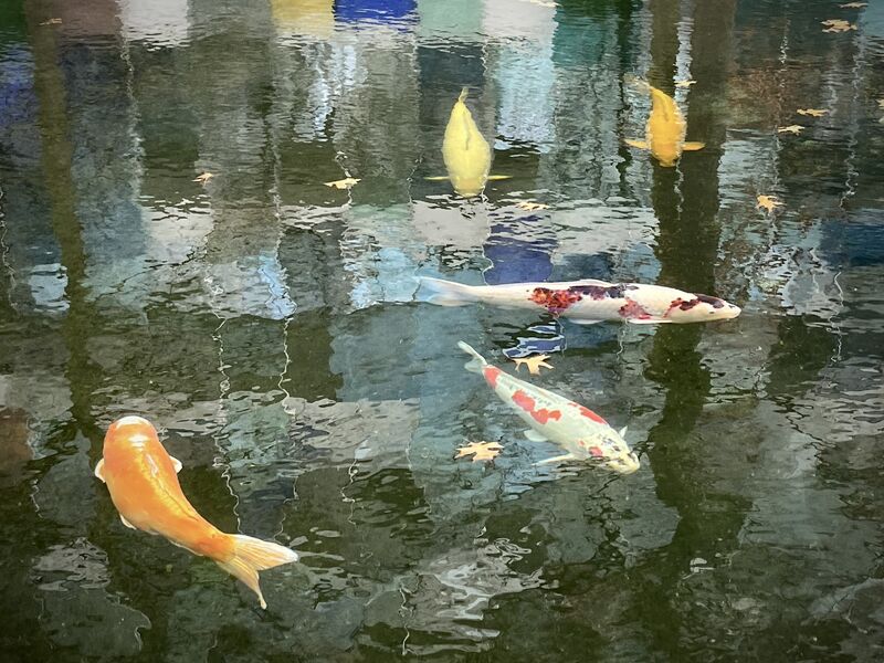 Farhad Riahi MDCM MBA FCFP on LinkedIn: My garden leave from Novartis Farhad Riahi MDCM MBA FCFP on LinkedIn: My garden leave from Novartis