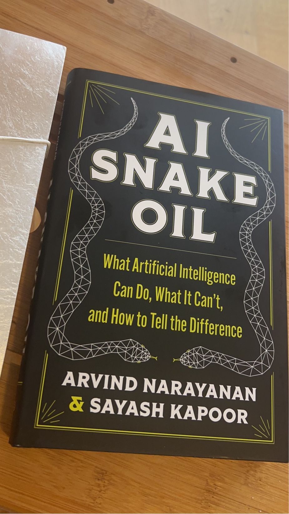 Ruona J Meyer on LinkedIn: #aisnakeoil Ruona J Meyer on LinkedIn: #aisnakeoil