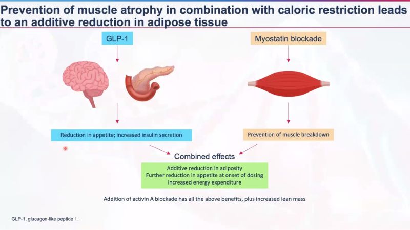 semaglutide and trevogrumab and garetosmab Holy grail of weight loss muscle gain seems to be here. A combination treatment of semaglutide, trevogrumad causes fat loss and muscle growth in primate trials. Full trial results Trevogrumab: A New Drug for