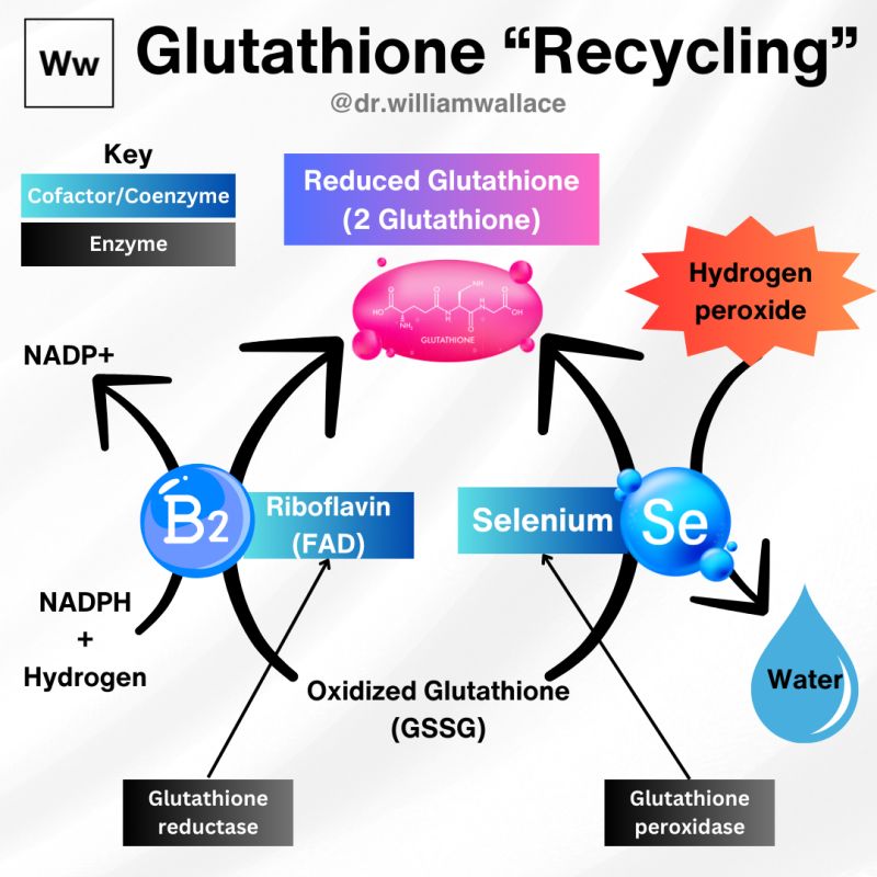 this mineral is a cofactor for glutathione peroxidase Antioxidant Enzyme Systems Glutathione Peroxidase-1 in Health and