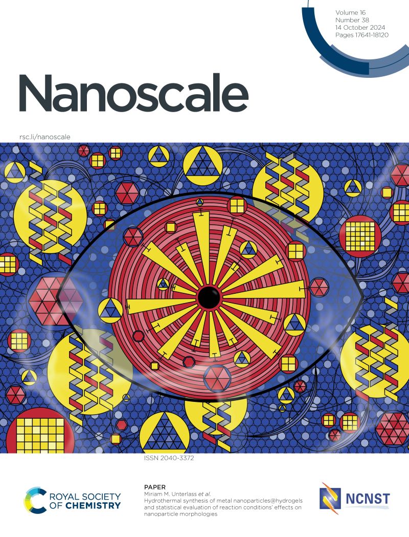On the cover of Nanoscale: Unterlass Lab reports On the cover of Nanoscale: Unterlass Lab reports