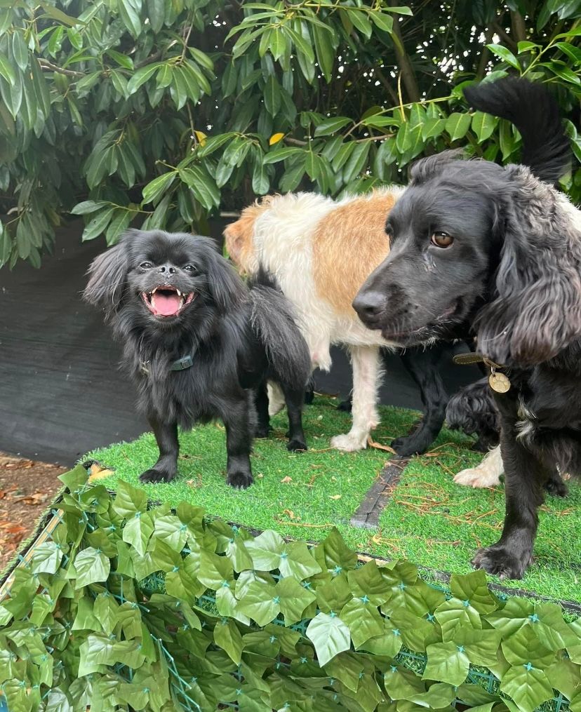 Derren Powell on LinkedIn: #bodylanguage #onwards #thoughtleadership Derren Powell on LinkedIn: #bodylanguage #onwards #thoughtleadership