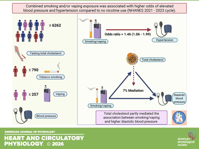 does tobacco cause high blood pressure Smoking and hypertension and smoking cigarettes Does