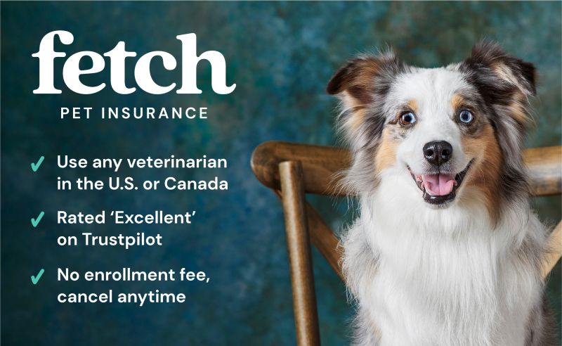 Zach Blumenfeld on LinkedIn: Employee Benefits Program | Fetch Pet Insurance