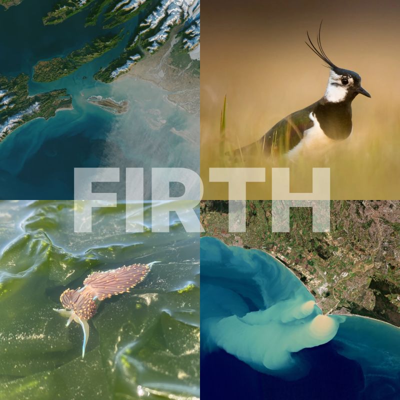 Joshua Gilmer on LinkedIn: DID YOU KNOW: The narrow inlet where a river Joshua Gilmer on LinkedIn: DID YOU KNOW: The narrow inlet where a river