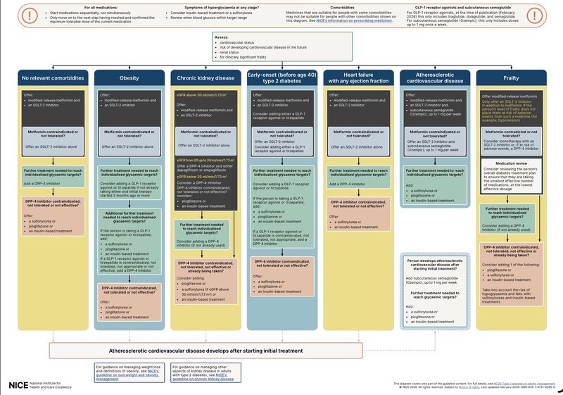 metformin and semaglutide A chart compares 2 popular weight-loss drugs, Ozempic from cost to risks and benefits niceguidelines #metformin #semaglutide #tirzepatide |