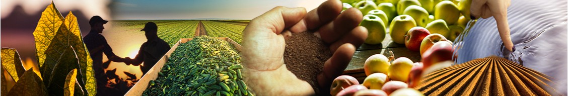 universal tobacco company intertabac2025 #intersupply #tobacco #tobaccoleaf Universal Q4 Earnings Call Highlights