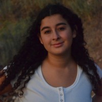 Carol Rodrigues Intern Salt Lake Peer Court LinkedIn Carol Rodrigues Intern Salt Lake Peer Court LinkedIn