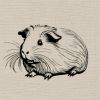 House of Guineas LLC