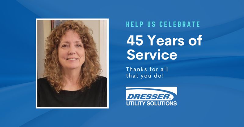 dresser utility solutions UK Dresser Utility Solutions | LinkedIn