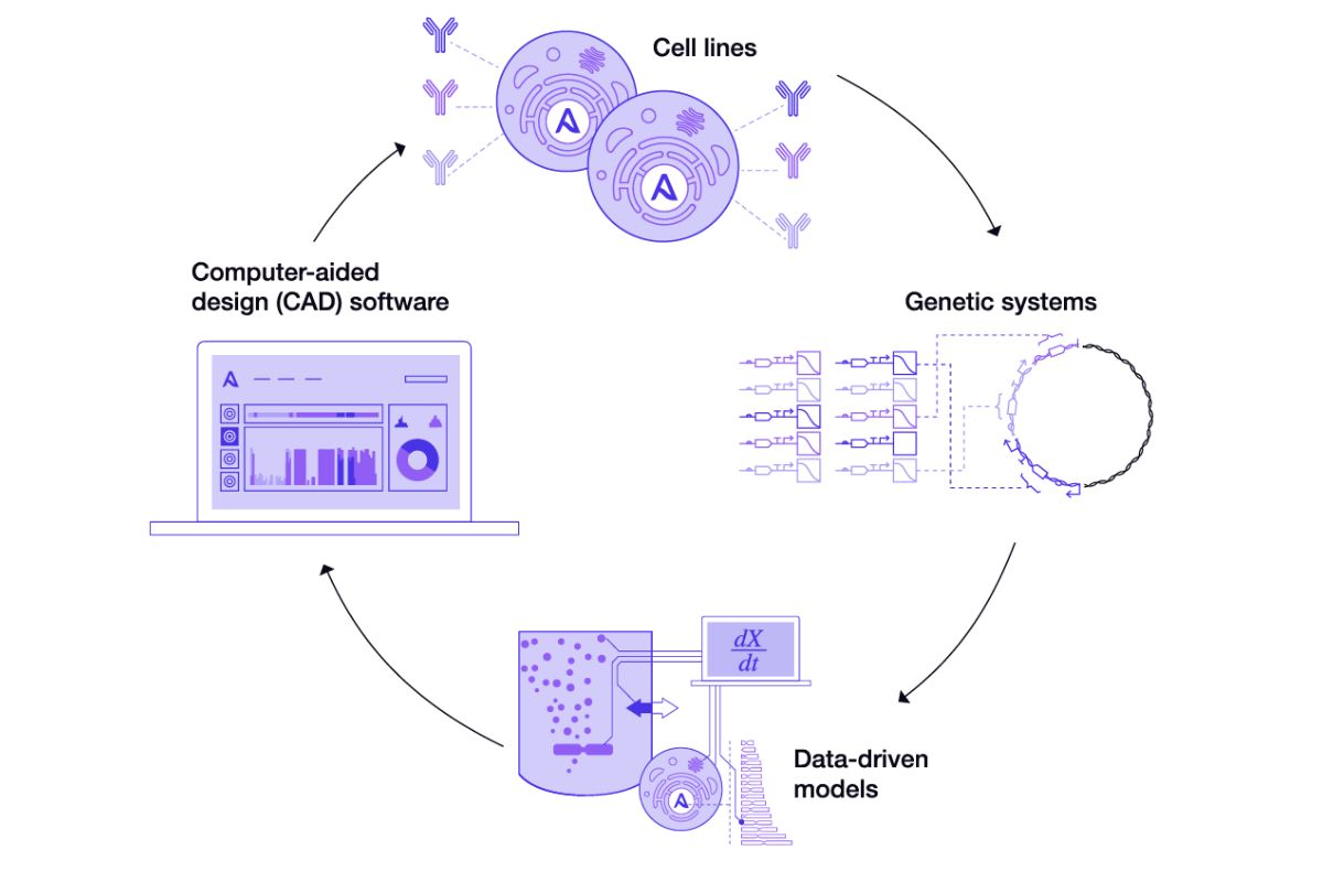 Asimov unveils CHO Edge System for Therapeutic Manufacturing Asimov unveils CHO Edge System for Therapeutic Manufacturing