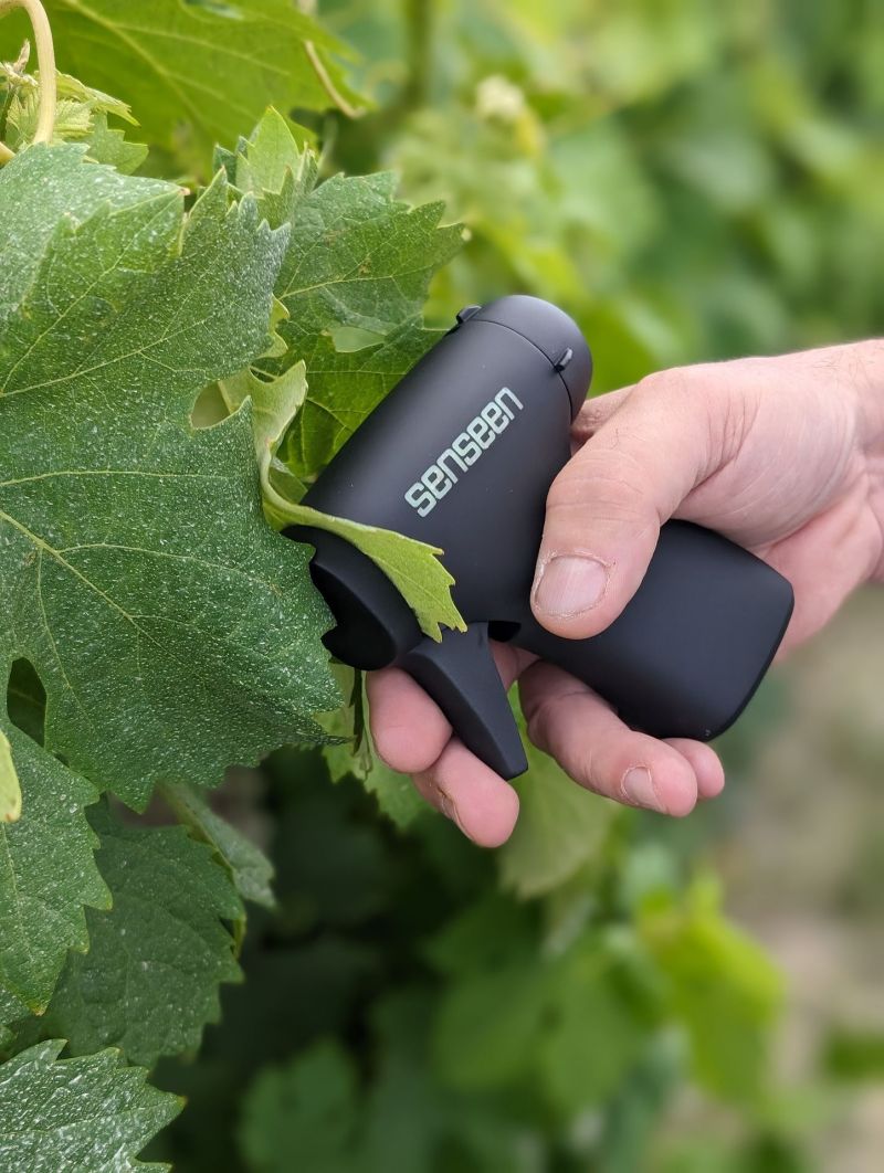 Nutriscope in vineyard