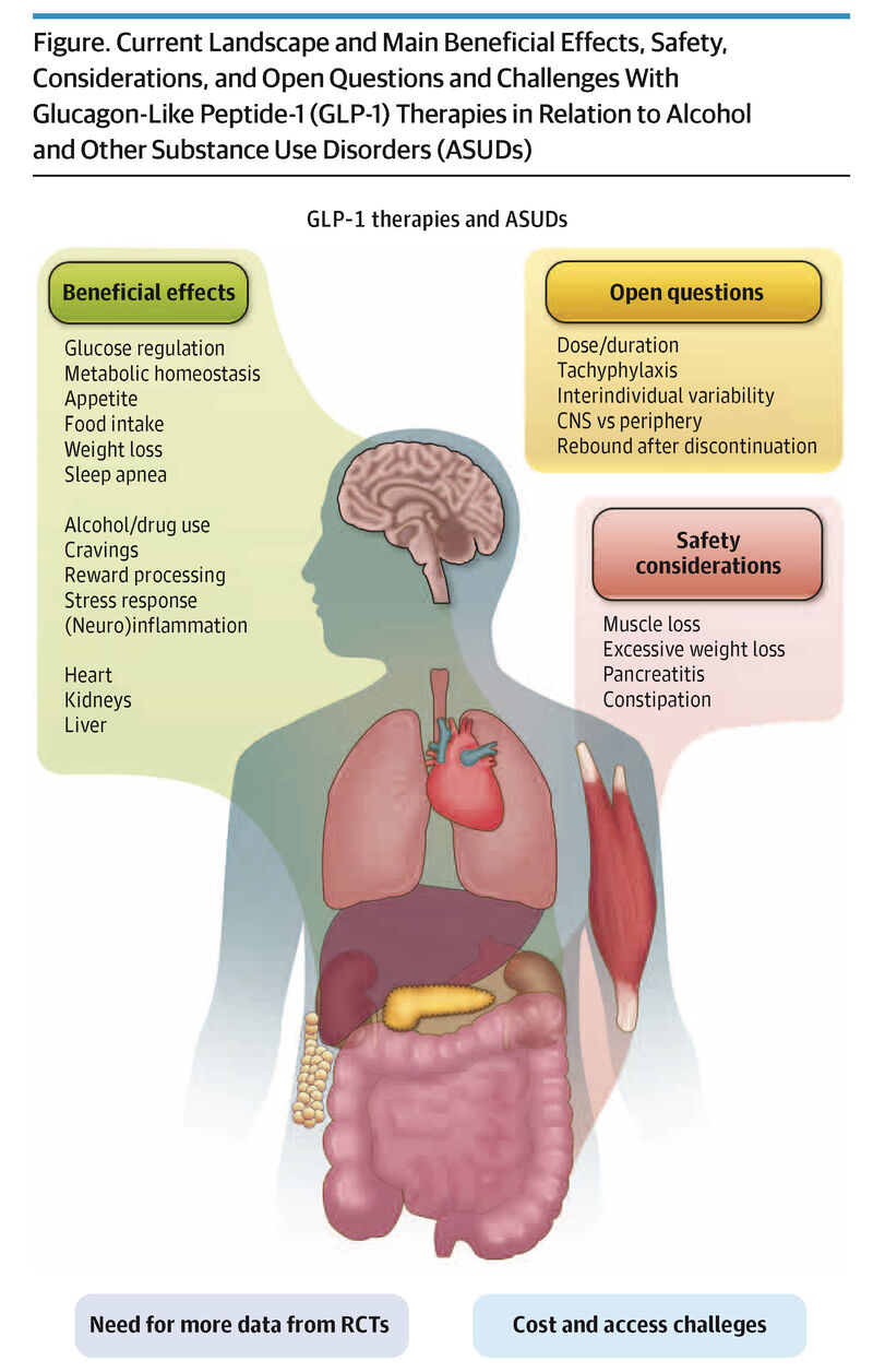 glp 1 and substance use disorder disorders (SUDs) may become the next therapeutic target for GLP-1 receptor agonists (GLP-1s). Although the evidence remains preliminary, growing preclinical, observational, early clinical data suggest these drugs may reduce Not just obesity: GLP-1 receptor