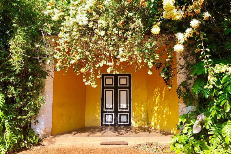Discover the Untold Charms of Brief Garden by Bevis Bawa Discover the Untold Charms of Brief Garden by Bevis Bawa