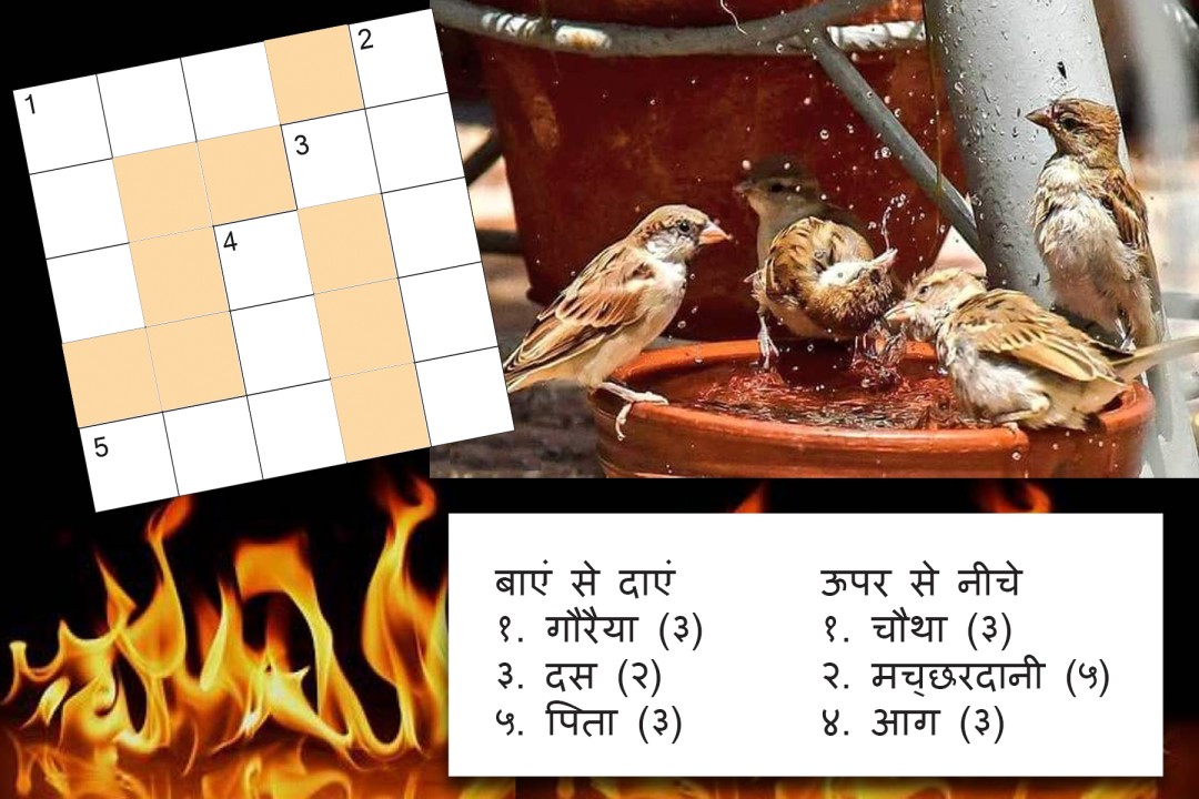 Crossword Crossword