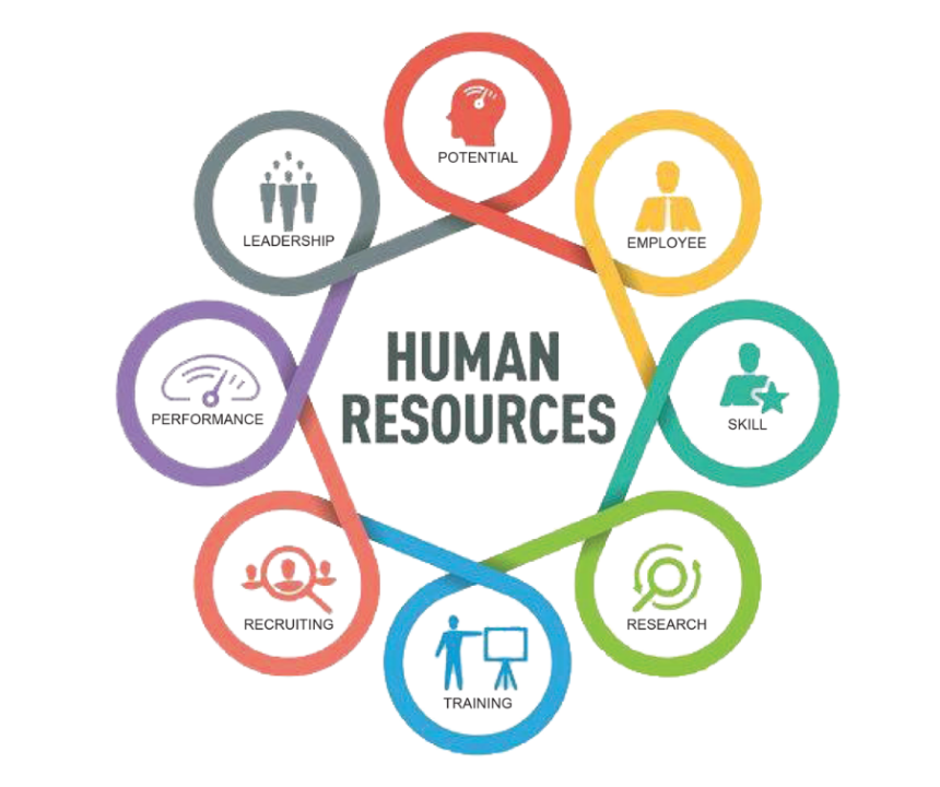4 Major Key Elements of HR Roles in Any Organization 4 Major Key Elements of HR Roles in Any Organization