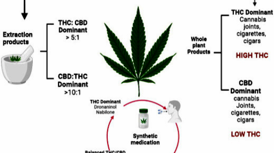 are cbd cigarettes legal cigarettes: Safety, benefits, and how to use States Where Weed Is Legal: