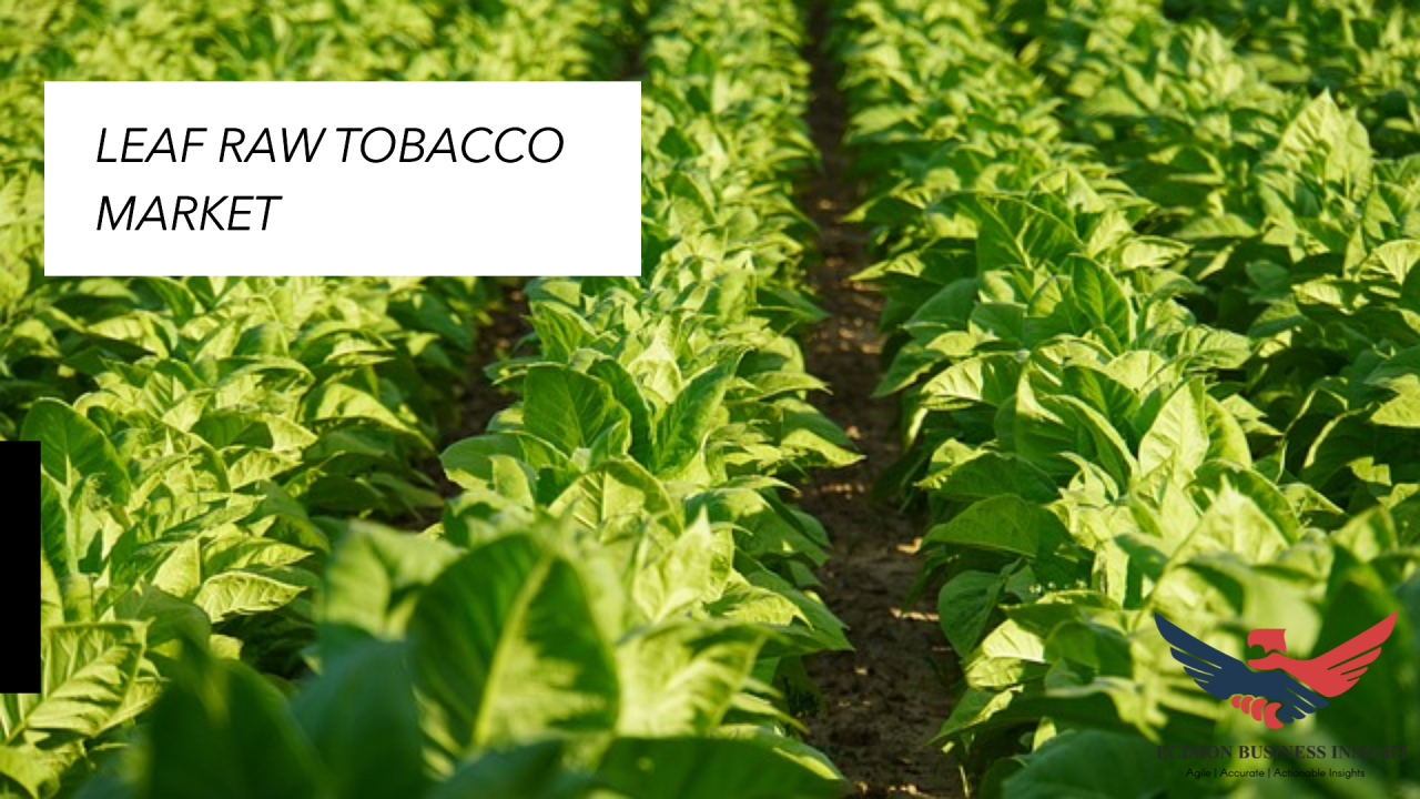 us raw tobacco leaves market Tobacco Industry: Leaf Top 10 Companies in Leaf