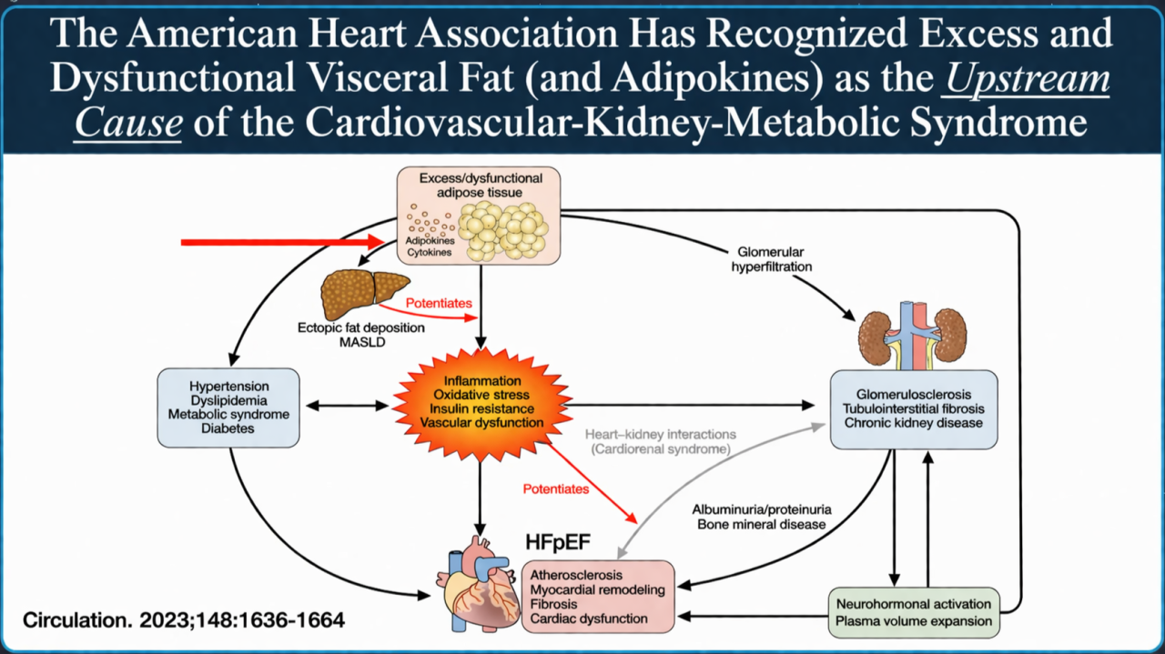 does tirzepatide cause high blood pressure Can Pressure? Clinical Evidence New Study Finds Tirzepatide Use