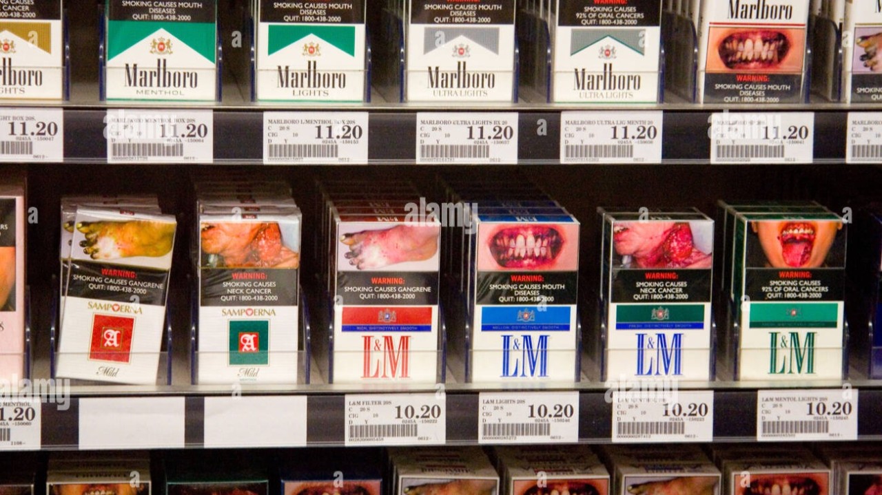 wave cigarettes Menthol 100s Box 20 ct., 10 pk ITC Wave cool Mint Cigarettes