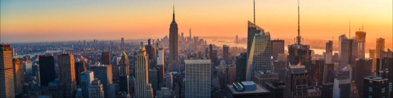 Niki Segal - Account Representative - Uber | LinkedIn Niki Segal - Account Representative - Uber | LinkedIn