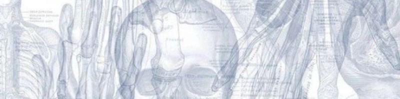 Sophia Bailey Student Intern Salt Lake Peer Court LinkedIn Sophia Bailey Student Intern Salt Lake Peer Court LinkedIn