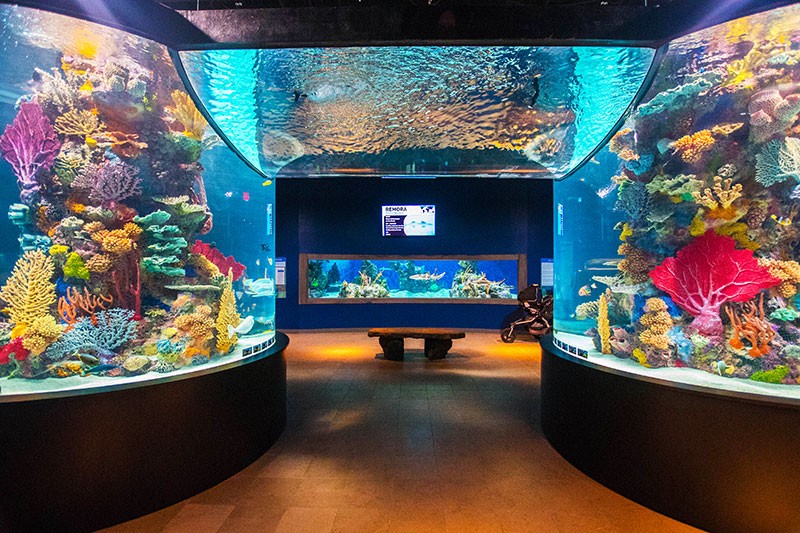 Electric City Aquarium & Reptile Den