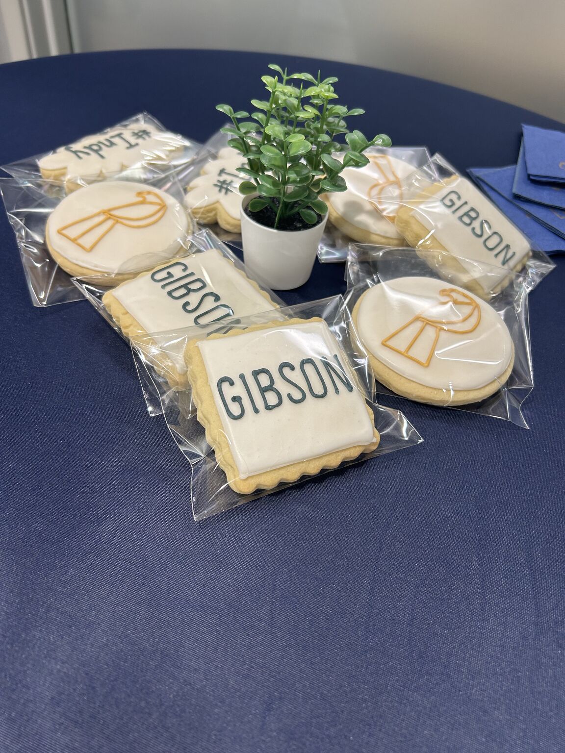 Ashley Collins (she/her) on LinkedIn: Congratulations on the gorgeous Ashley Collins (she/her) on LinkedIn: Congratulations on the gorgeous