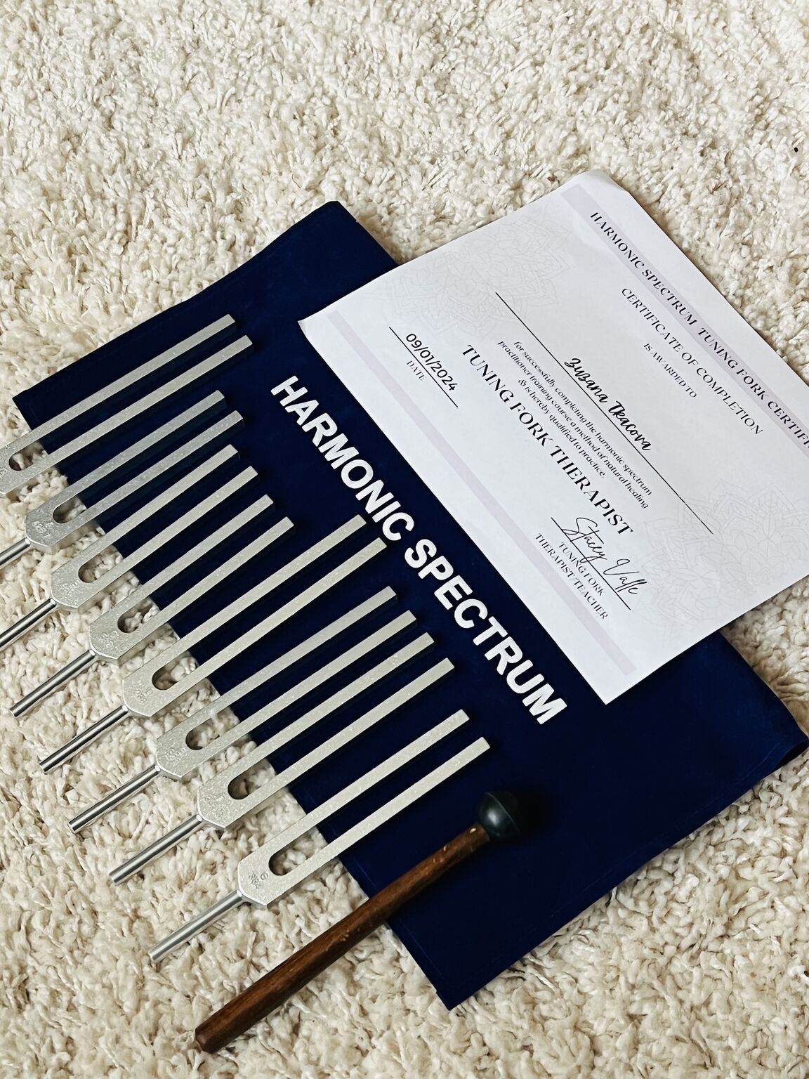 Zuzana Tkacova MMQ on LinkedIn: I just finished another Tuning Fork Zuzana Tkacova MMQ on LinkedIn: I just finished another Tuning Fork