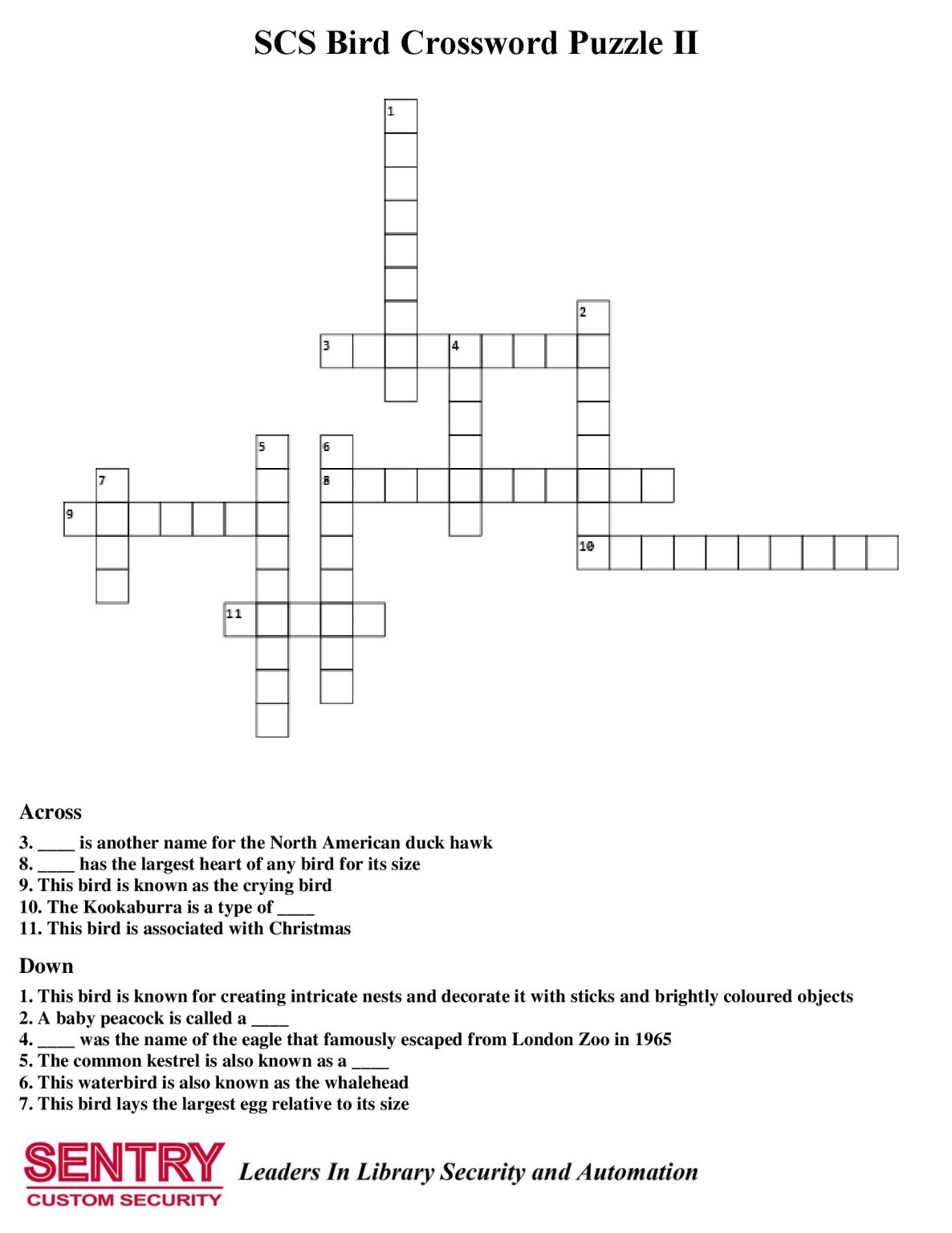 Sentry Custom Security on LinkedIn: #sentry #sentrycustomsecurity #bird Sentry Custom Security on LinkedIn: #sentry #sentrycustomsecurity #bird