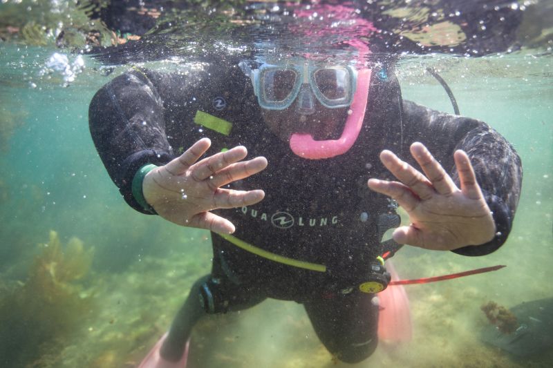 Alie LeBeau on LinkedIn: Earn your AAUS Scientific Diving certification Alie LeBeau on LinkedIn: Earn your AAUS Scientific Diving certification