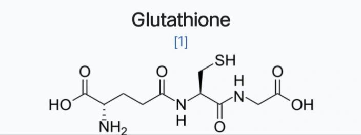 glutathione and cancer growth Synthesis in Cells | Biochemistry (Moscow) Effect of depletion of glutathione