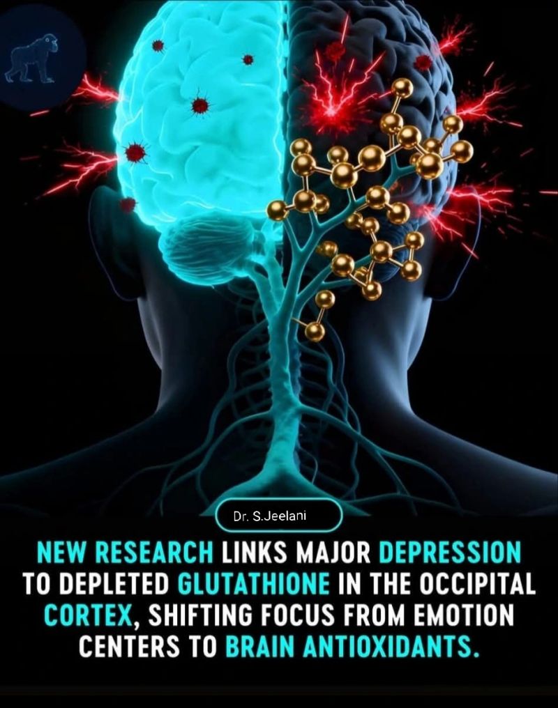 glutathione and brain damage Therapeutic potential of glutathione-enhancers in stress-related psychopathologies Glutathione neurodegenerative diseases: immunopharmacological glutathione role in depression deficiency