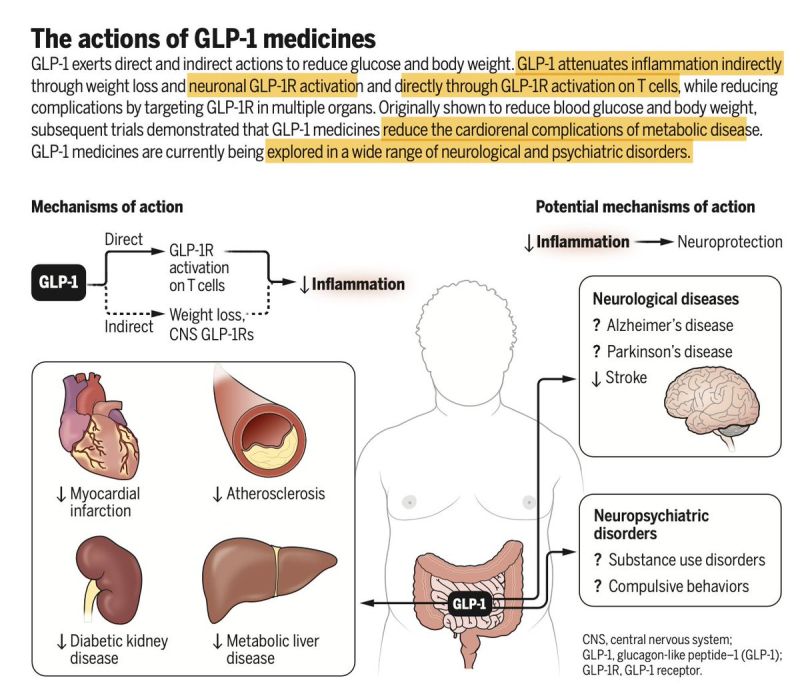 eric topol glp-1 list all glp 1 drugs The of conditions for which provides benefit independent of weight loss keeps growing. Add psoriatic arthritis Eric Topol - Wikipedia