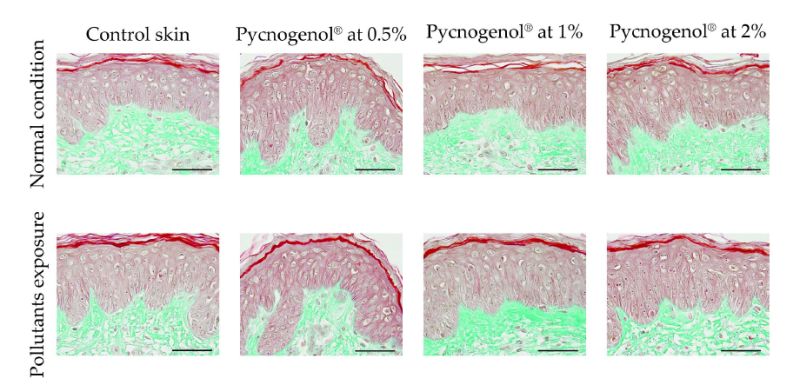 ghk cu best place to inject Injectable Peptides for Anti-Aging? A Dermatologist Explains GHK-Cu ghk cu peptide injection site