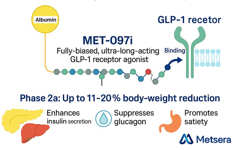 glp-1 pfizer Is on Track to Launch Its Next Lipitor -- This Time in the Weight-Loss Market? pfizer glp-1 pipeline adds small