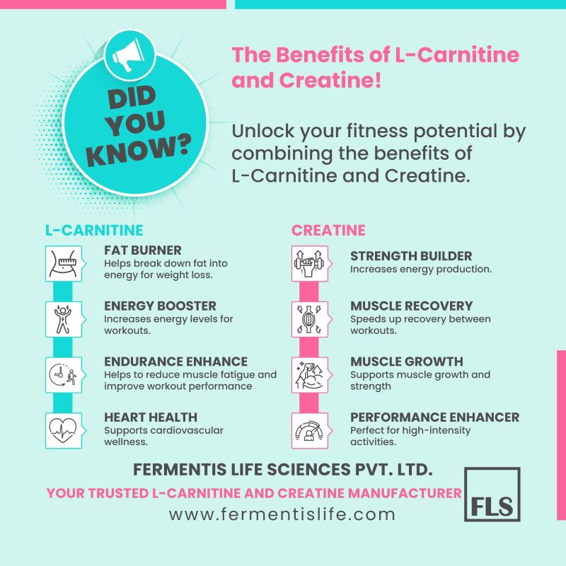 can you take creatine and l-carnitine together safety When To L Carnitine to Maximise Your Shredding Beyond BSc Supplements Why Take Carnitine? | NOW