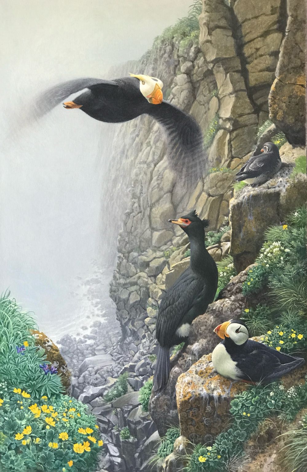 John Charles Pitcher on LinkedIn: #pribilofisland #pribilofislandbirds John Charles Pitcher on LinkedIn: #pribilofisland #pribilofislandbirds