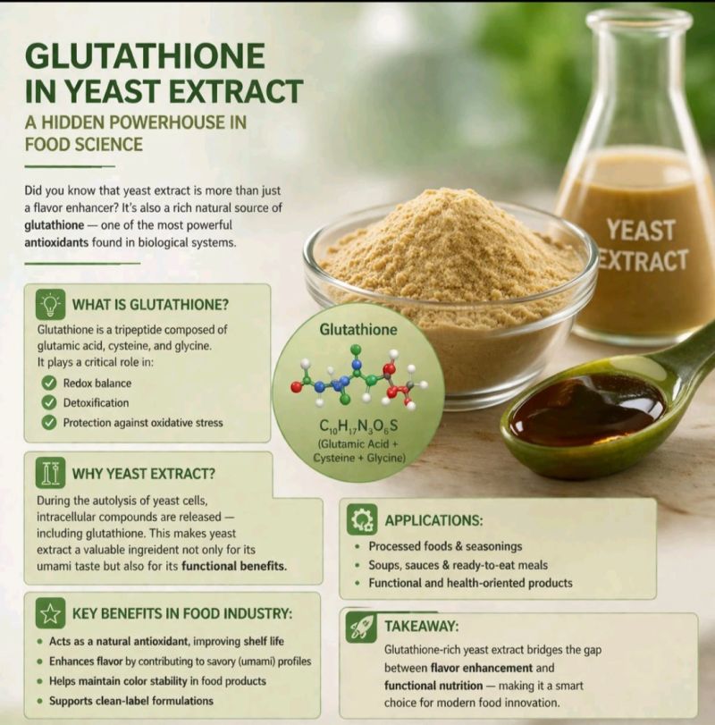 glutathione yeast extract Glutathione-rich improves alcohol-associated liver diseases through the improvement of mitochondrial dysfunction and oxidative stress by activating SIRT3 Rhionia Liposomal Pure Glutathione Film