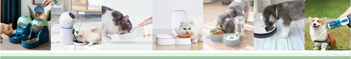 Slow Paws LinkedIn Slow Paws LinkedIn