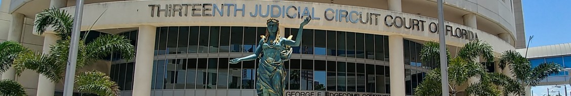Hillsborough County 13th Judicial Circuit Court LinkedIn Hillsborough County 13th Judicial Circuit Court LinkedIn