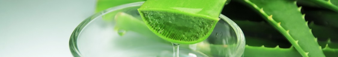 bioearth aloe vera gel 99 Gel di aloe vera 99%, 100 ml main image 0